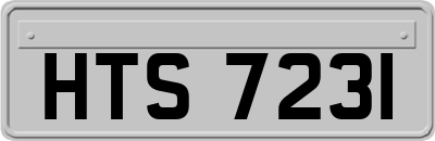 HTS7231