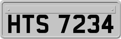 HTS7234