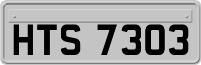 HTS7303