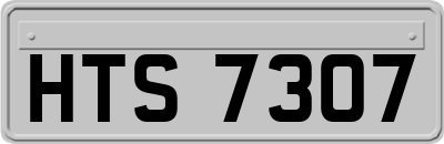 HTS7307