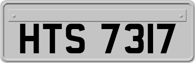 HTS7317