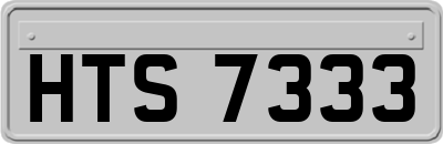 HTS7333