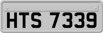 HTS7339