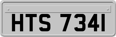 HTS7341