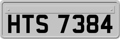HTS7384