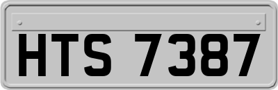 HTS7387
