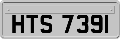 HTS7391