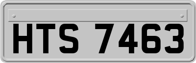 HTS7463
