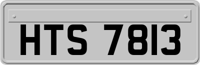 HTS7813