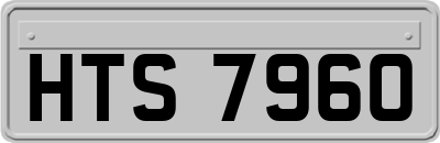 HTS7960