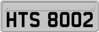 HTS8002