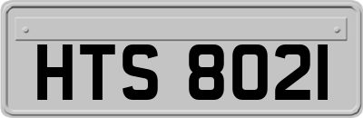 HTS8021