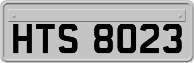 HTS8023