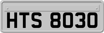 HTS8030