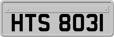HTS8031