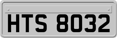 HTS8032