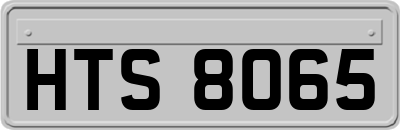 HTS8065