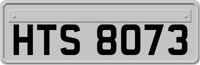 HTS8073