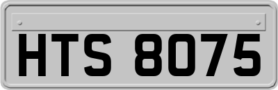 HTS8075