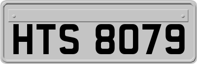 HTS8079