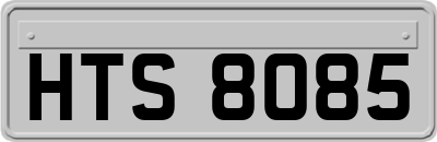 HTS8085