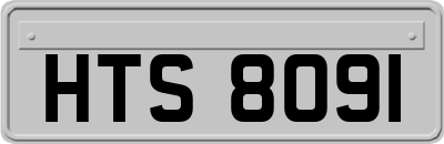 HTS8091