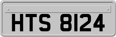HTS8124