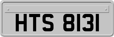 HTS8131