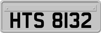 HTS8132