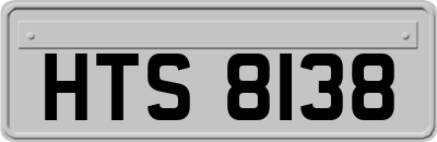 HTS8138