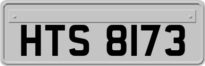 HTS8173