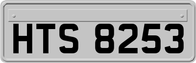 HTS8253