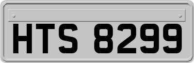 HTS8299