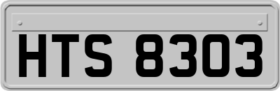 HTS8303