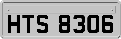 HTS8306