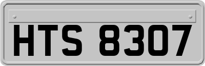 HTS8307