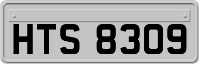 HTS8309