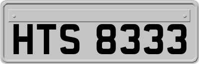 HTS8333