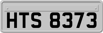 HTS8373