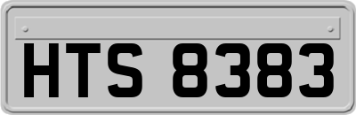 HTS8383