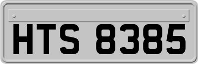 HTS8385