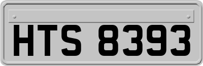 HTS8393