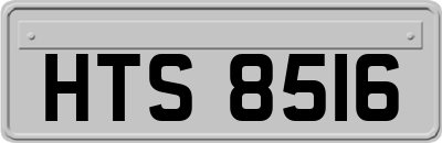 HTS8516