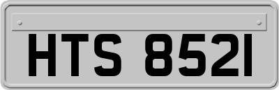 HTS8521