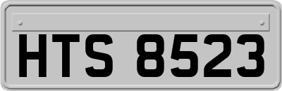 HTS8523