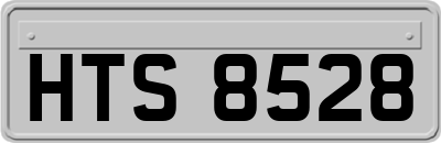 HTS8528