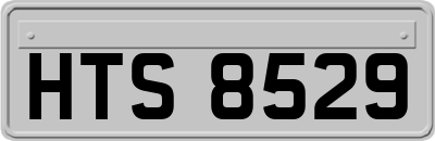HTS8529