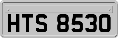 HTS8530
