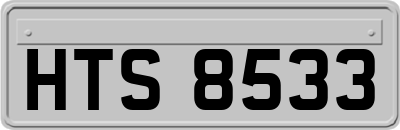 HTS8533