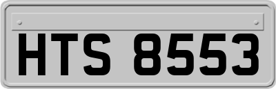 HTS8553